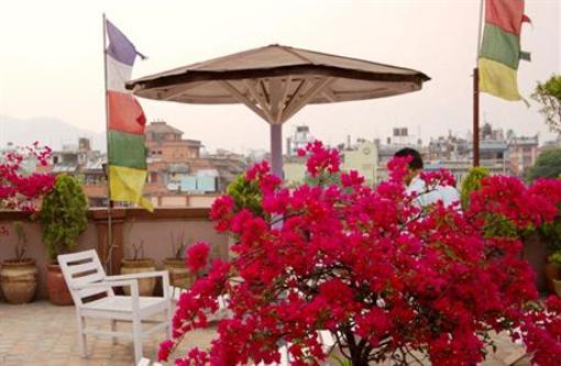 фото отеля Potala Guest House
