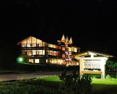 фото отеля Hotel Foresta Moena