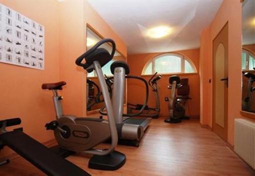 фото отеля Hotel Foresta Moena