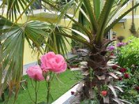 Oasi Hotel Levanto