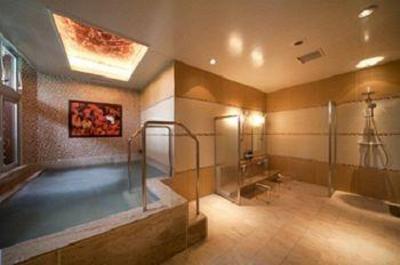фото отеля Hotel Coco Grand Ueno Shinobazu