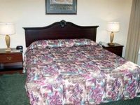 Holiday Inn Express Hotel & Suites Dunedin (Florida)