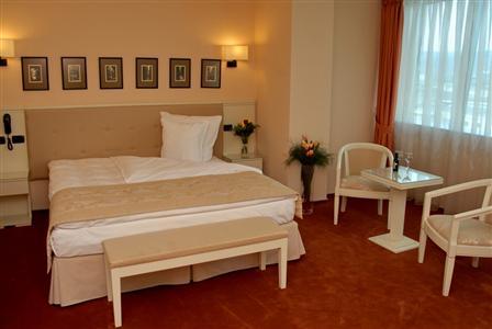 фото отеля Hotel Paradis Cluj-Napoca