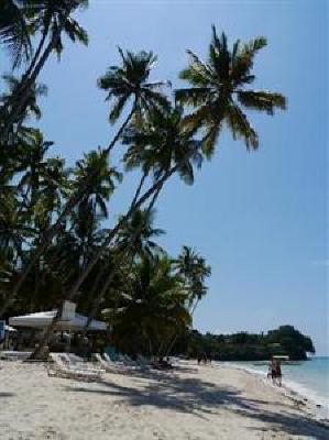 фото отеля Alona Tropical Beach Resort