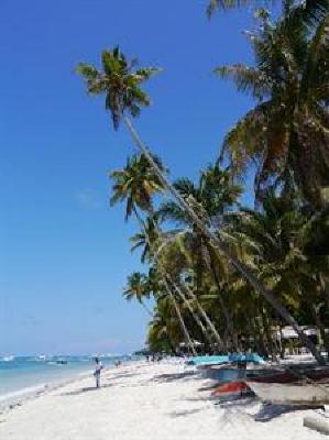фото отеля Alona Tropical Beach Resort
