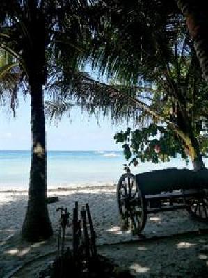 фото отеля Alona Tropical Beach Resort