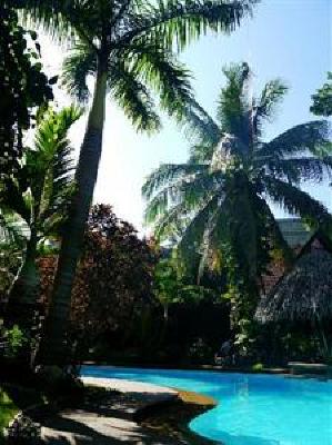 фото отеля Alona Tropical Beach Resort