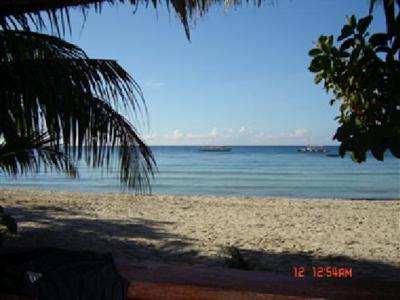 фото отеля Alona Tropical Beach Resort