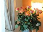 фото отеля Hotel I Due Cigni