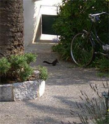 фото отеля Hotel De Charme Villa Roseraie Vence