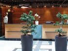 фото отеля Lindner Congress Hotel