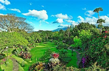 фото отеля Bougainvillea Hotel Santo Domingo (Costa Rica)
