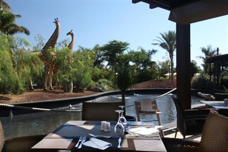 фото отеля Lopesan Baobab Resort