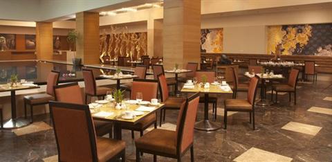 фото отеля Radisson Blu Hotel Ranchi