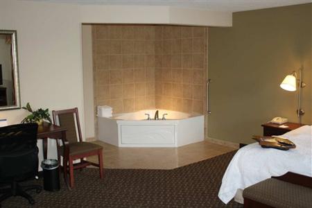 фото отеля Hampton Inn East Lansing