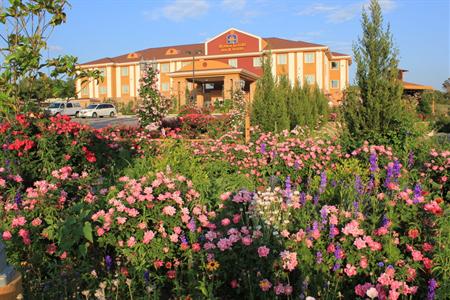 фото отеля BEST WESTERN PLUS Blanco Luxury Inn & Suites