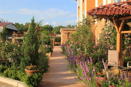 фото отеля BEST WESTERN PLUS Blanco Luxury Inn & Suites