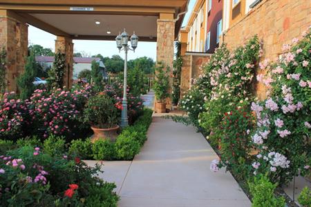 фото отеля BEST WESTERN PLUS Blanco Luxury Inn & Suites