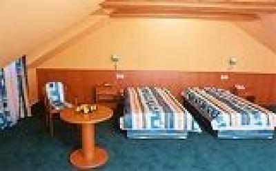 фото отеля Hotel Dvorak Ceske Budejovice