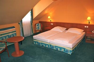 фото отеля Hotel Dvorak Ceske Budejovice