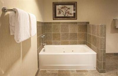 фото отеля Radisson Hotel Bloomington by Mall of America