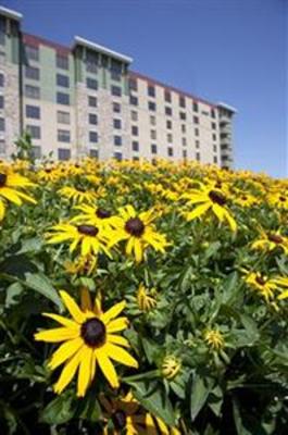 фото отеля Radisson Hotel Bloomington by Mall of America