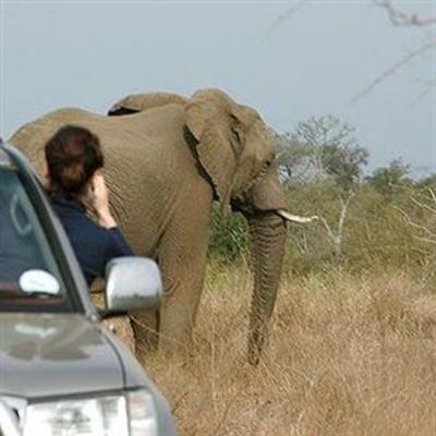 фото отеля Royal Kruger Lodge