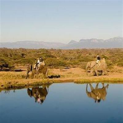 фото отеля Royal Kruger Lodge