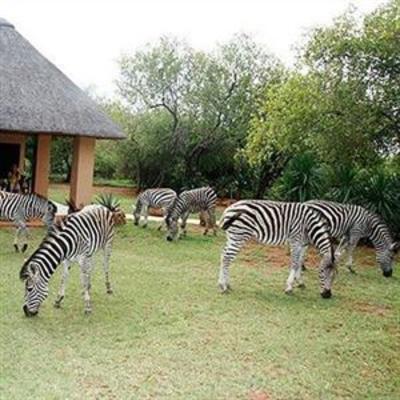 фото отеля Royal Kruger Lodge