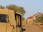 фото отеля Royal Kruger Lodge