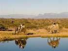 фото отеля Royal Kruger Lodge