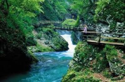 фото отеля Bled Backpackers Hostel