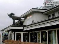 Big Moose Hotel