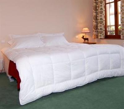 фото отеля Hotel Les Cigognes