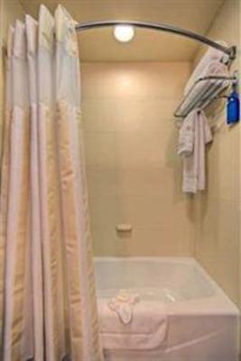 фото отеля Hilton Garden Inn DFW North Grapevine