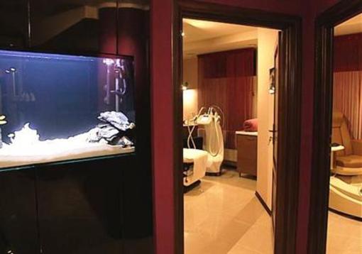 фото отеля Zdrojowka Spa
