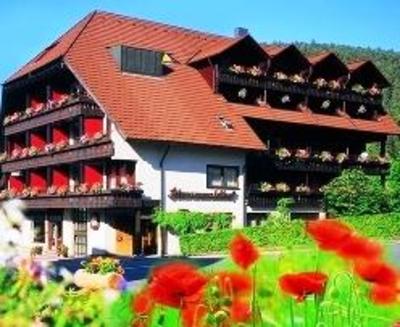 фото отеля Hotel Schwarzwaldhof