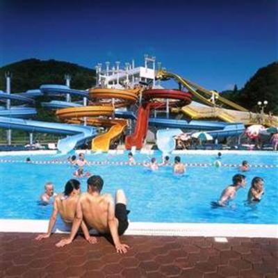 фото отеля Terme Olimia - Aparthotel Rosa