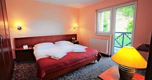фото отеля Terme Olimia - Aparthotel Rosa