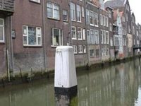 Blom Aan De Gracht