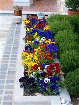 фото отеля La Rosa Blu Hotel Bari