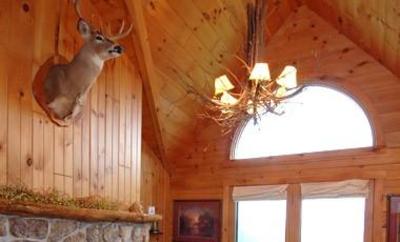 фото отеля North Fork Mountain Inn Cabins