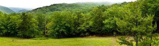 фото отеля North Fork Mountain Inn Cabins