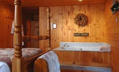 фото отеля North Fork Mountain Inn Cabins