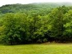 фото отеля North Fork Mountain Inn Cabins