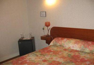 фото отеля Hotel Christina Chateauroux