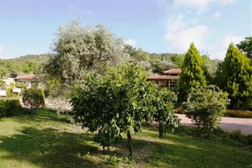 фото отеля Natur-Med Thermal Springs and Health Resort