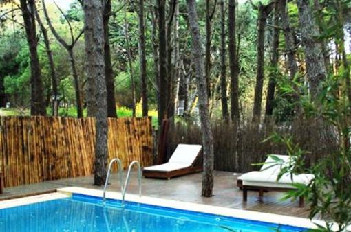 фото отеля Terrazas Del Bosque