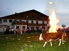 фото отеля Berggasthof Edelweiss