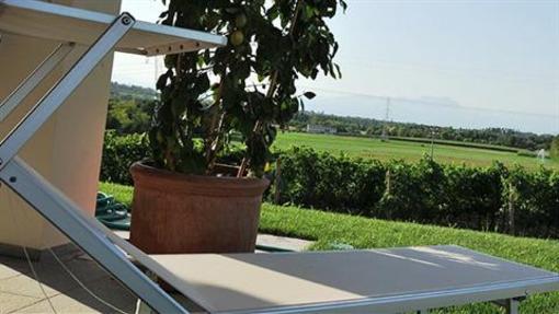 фото отеля Agriturismo Colle Dei Pivi